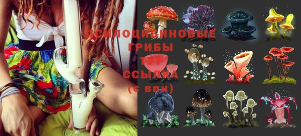метамфетамин Белокуриха