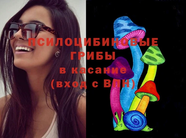 ГАЛЛЮЦИНОГЕННЫЕ ГРИБЫ Белоозёрский