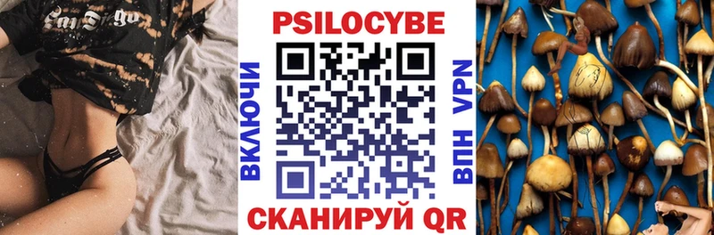 наркотики  Шарья  Галлюциногенные грибы мухоморы 